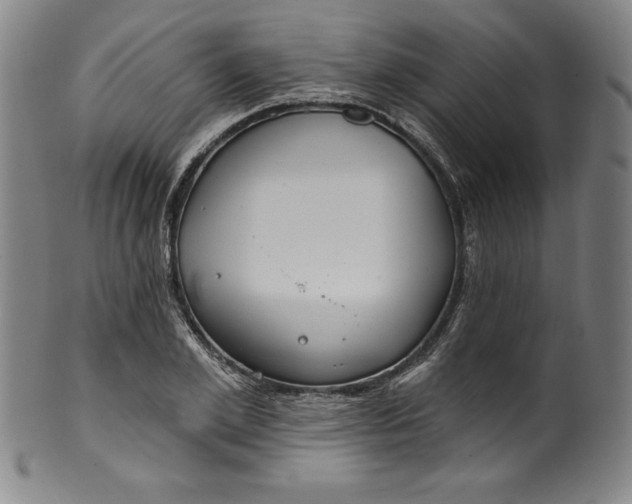 X0000099970981200806061626