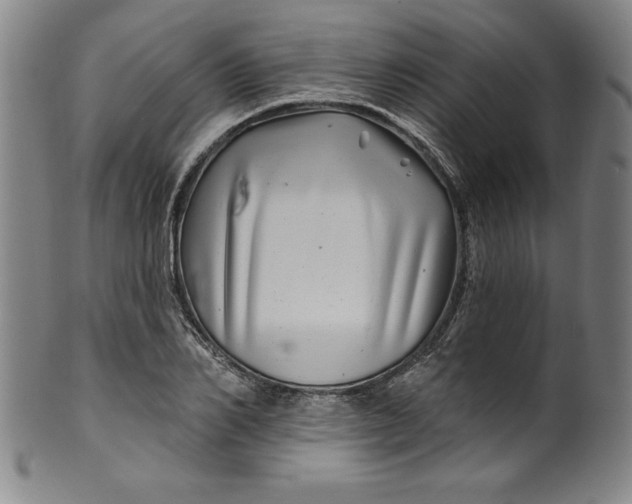 X0000099970982200806061626