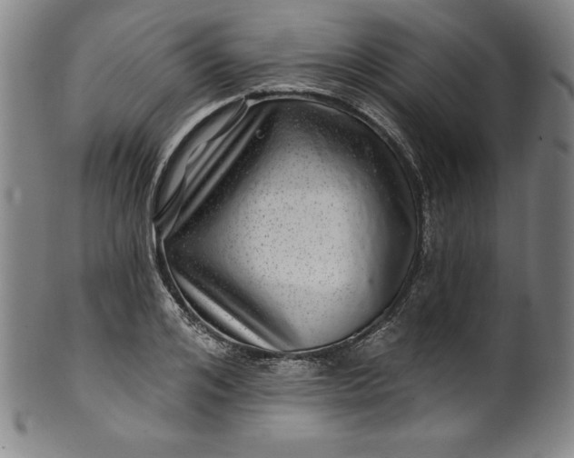 X0000099970984200806061626