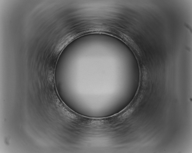 X0000099970985200806061626