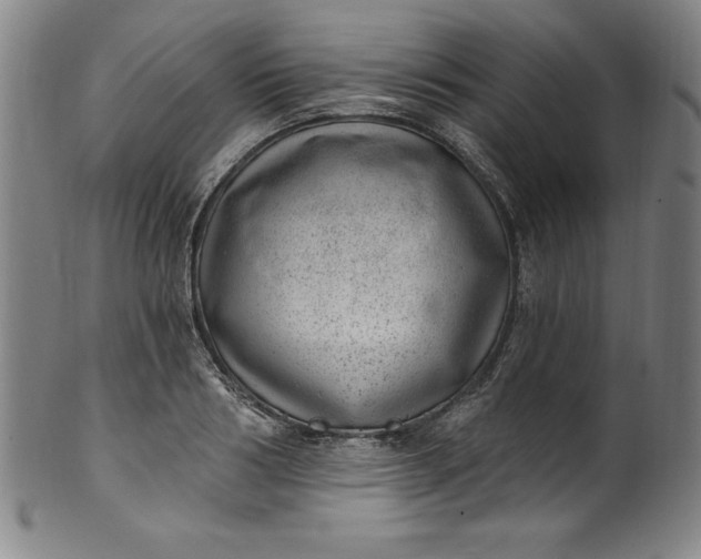 X0000099970986200806061626