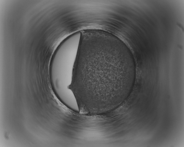 X0000099970988200806061626