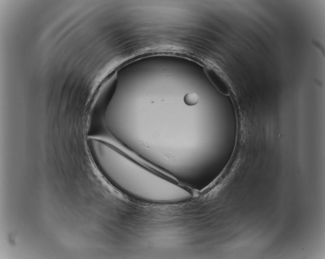 X0000099970989200806061625