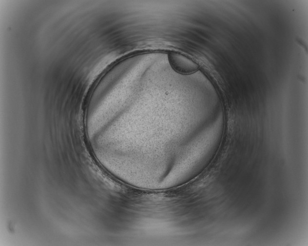 X0000099970990200806061625