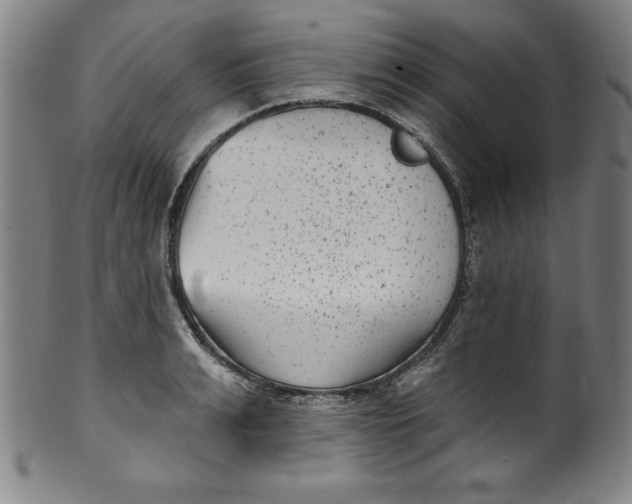 X0000099970991200806061625