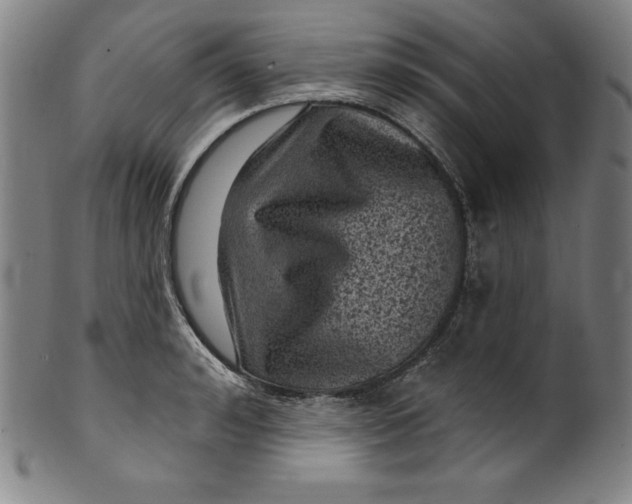 X0000099970992200806061625