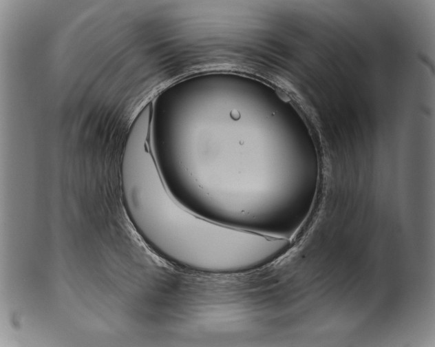 X0000099970993200806061625