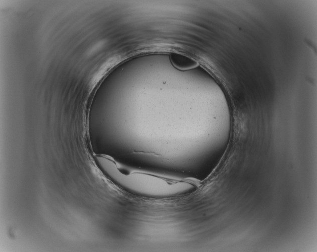 X0000099970994200806061625