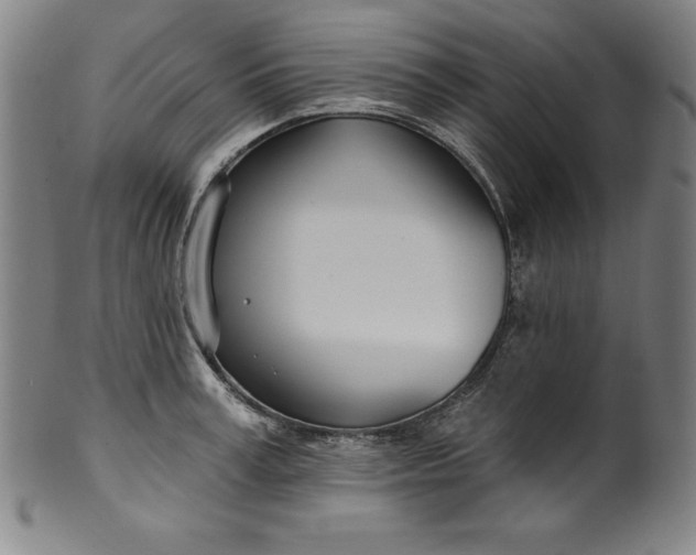 X0000099970995200806061625