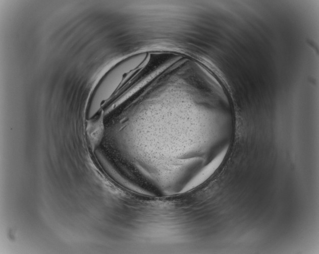 X0000099970996200806061625