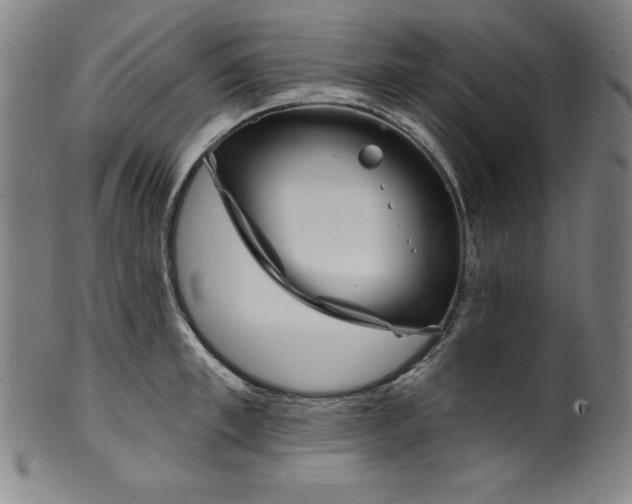 X0000099970997200806061625