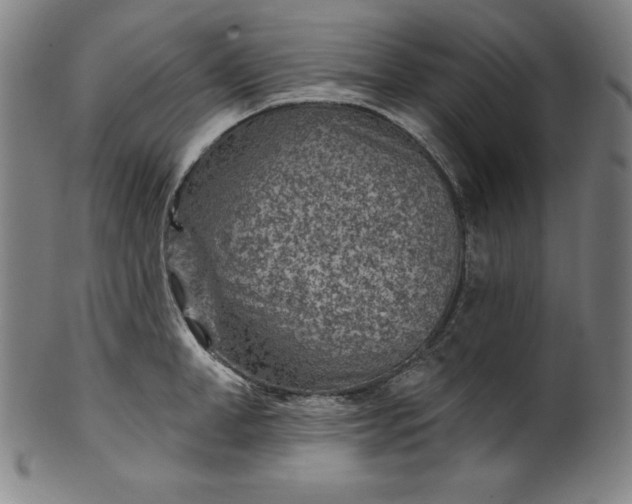 X0000099970998200806061625