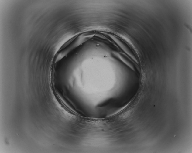 X0000099970999200806061625