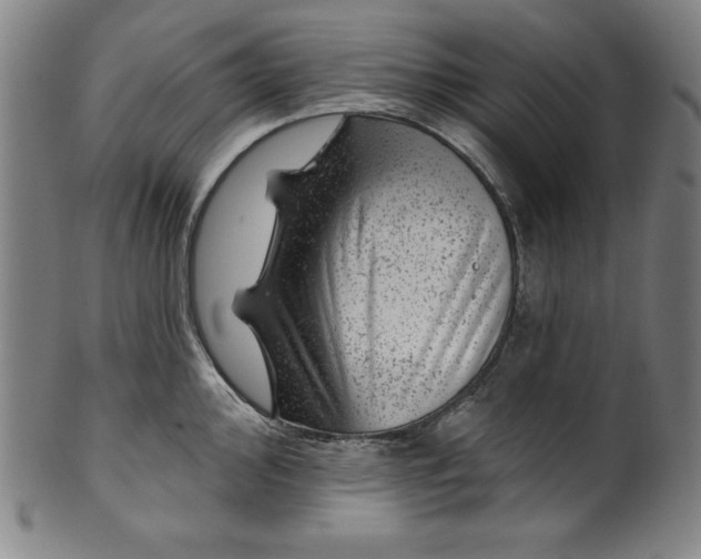 X0000099971000200806061625