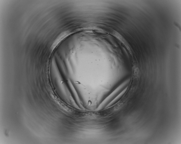 X0000099971002200806061625