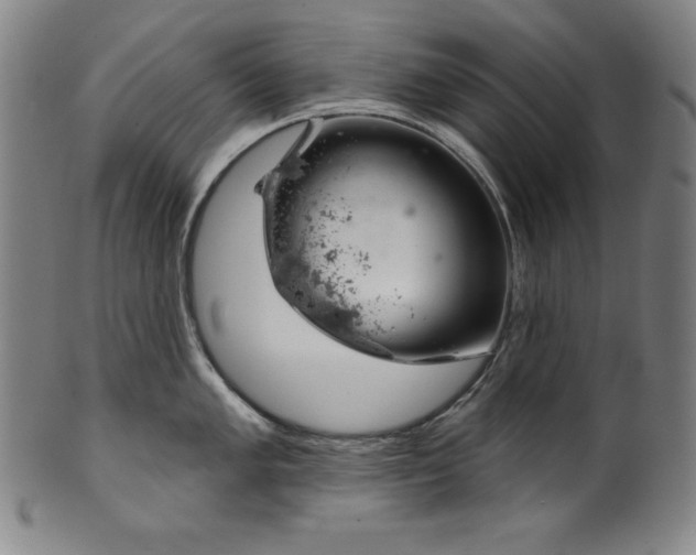 X0000099971005200806061625