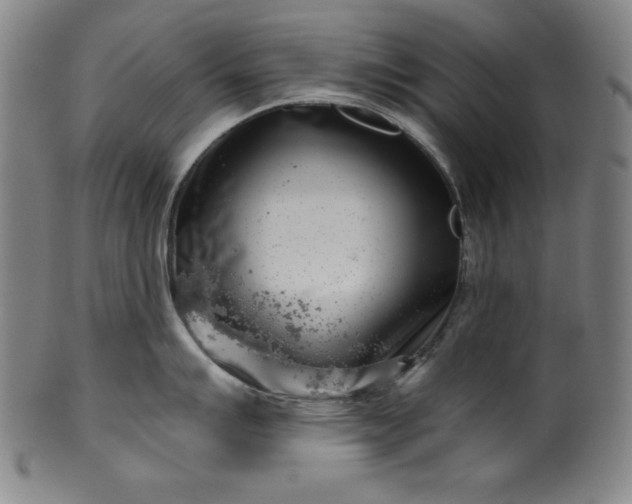 X0000099971007200806061625