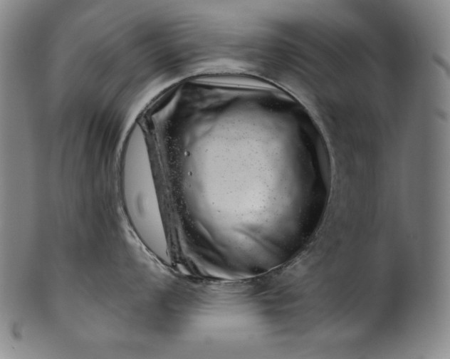 X0000099971008200806061625