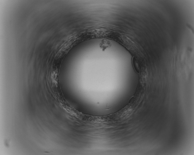 X0000099971010200806061625