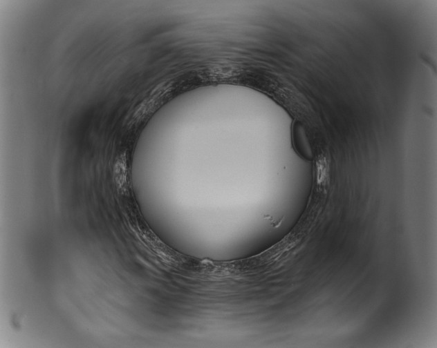 X0000099971011200806061625