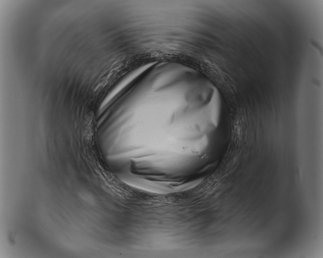 X0000099971012200806061625