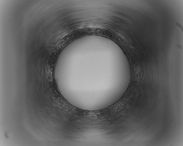 X0000099971013200806061625