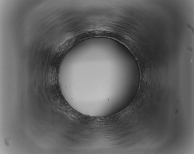 X0000099971014200806061625