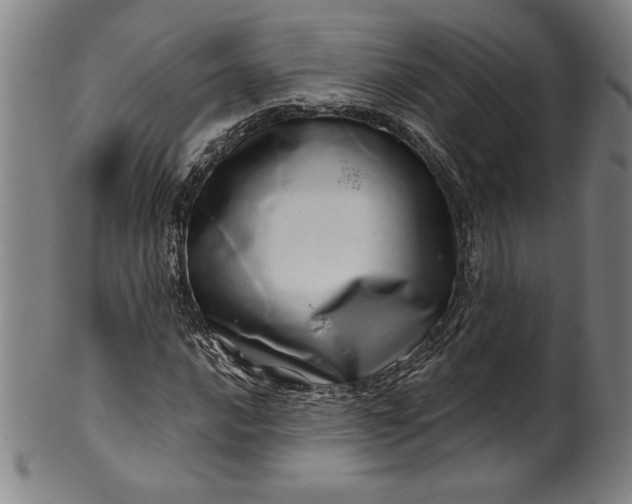 X0000099971016200806061625