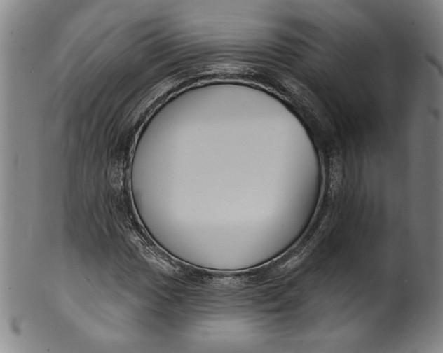 X0000099971017200806061625