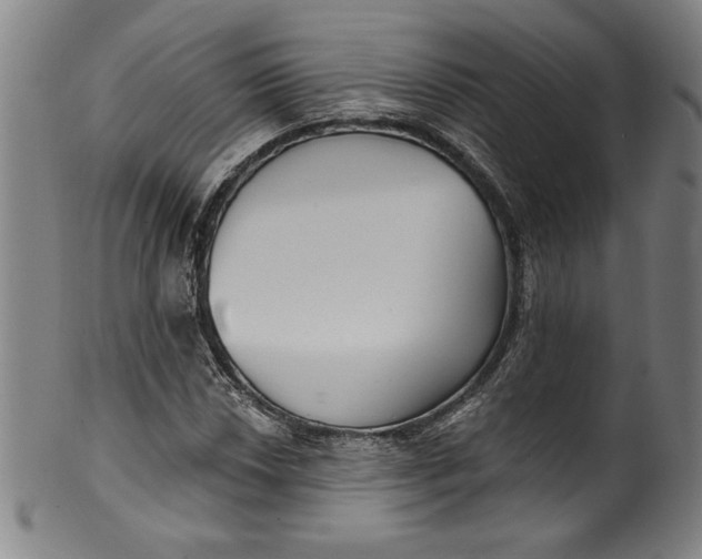 X0000099971018200806061625