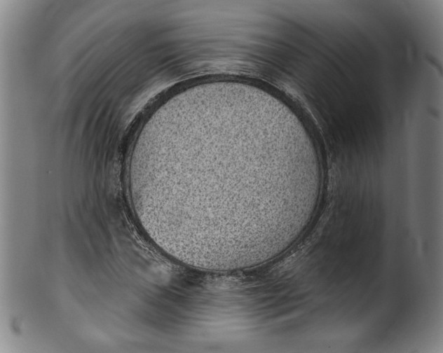 X0000099971019200806061625