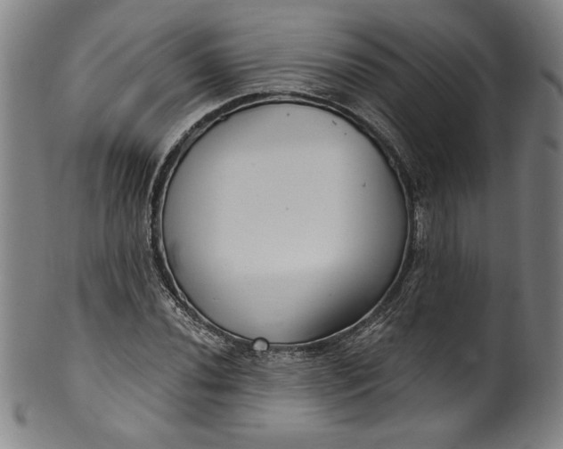 X0000099971020200806061625