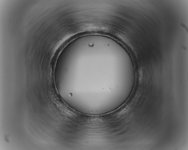 X0000099971021200806061625