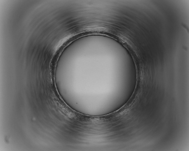 X0000099971022200806061625