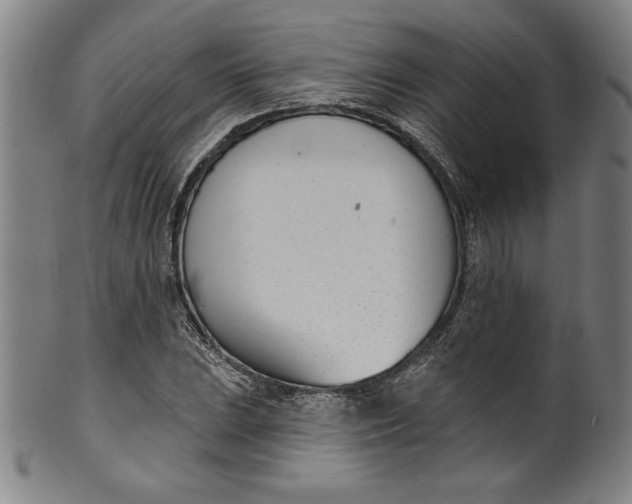 X0000099971023200806061625