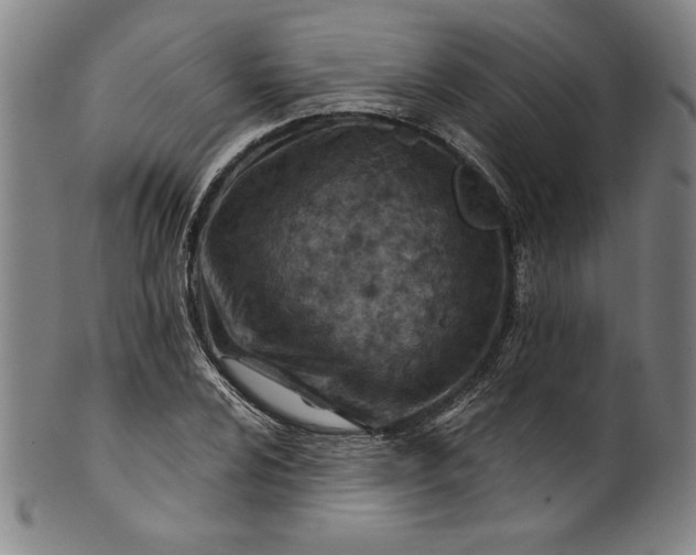 X0000099971024200806061625