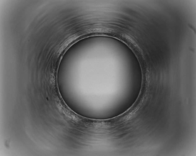 X0000099971025200806061625