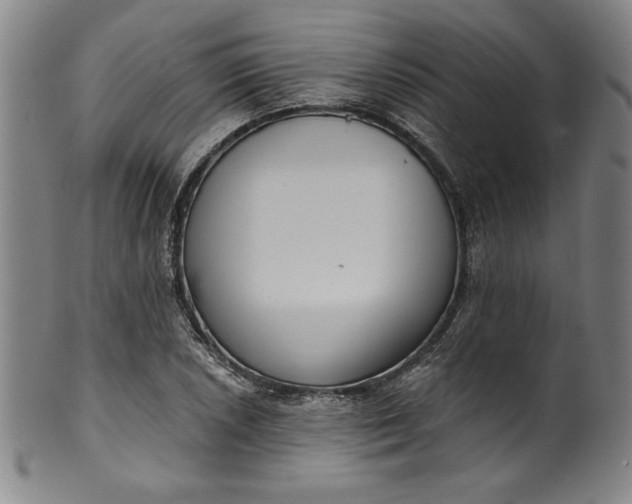 X0000099971026200806061625