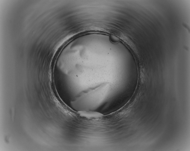 X0000099971028200806061625