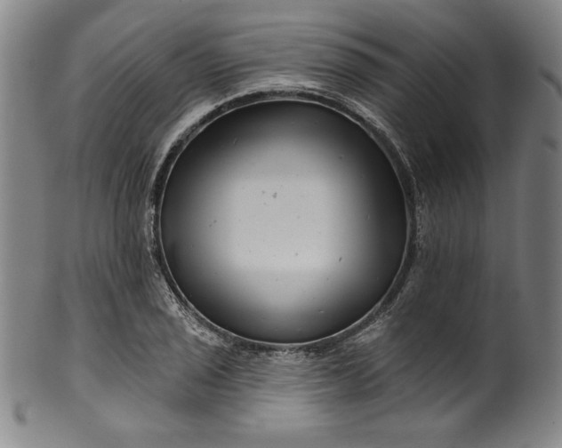 X0000099971029200806061625