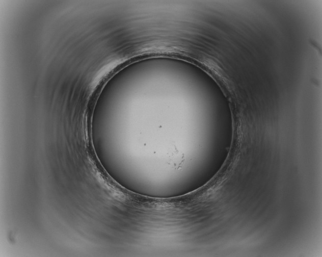 X0000099971030200806061625