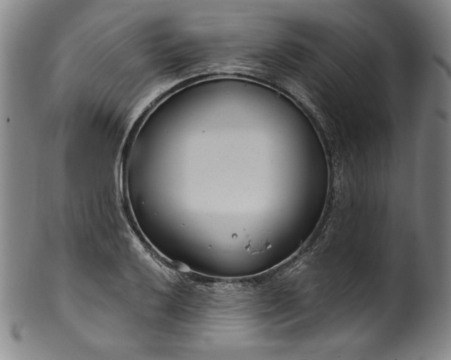 X0000099971032200806061625