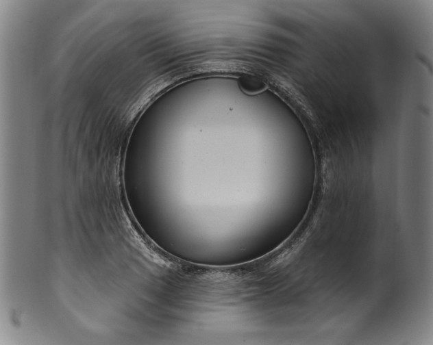 X0000099971033200806061625