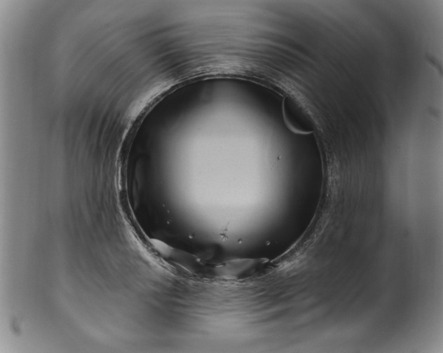 X0000099971034200806061625