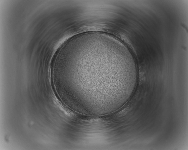 X0000099971035200806061625