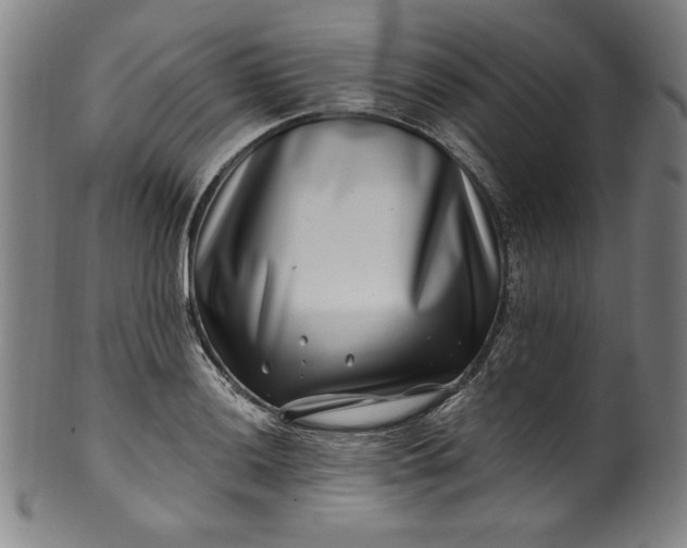 X0000099971036200806061625