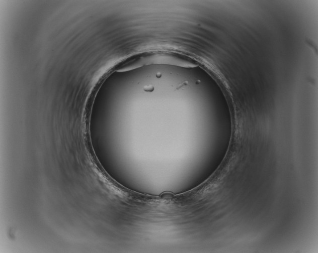 X0000099971037200806061625