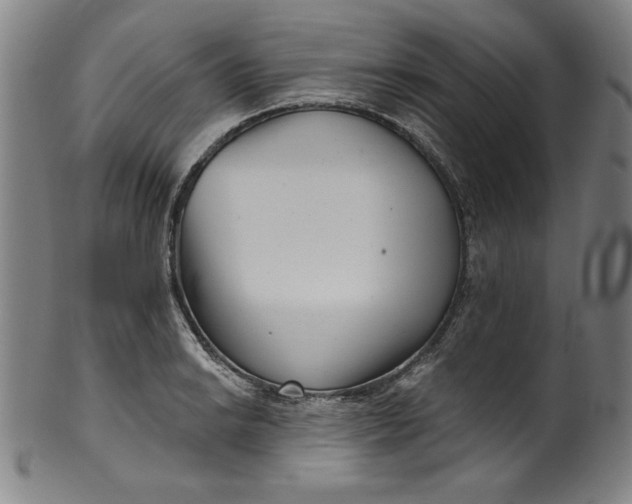 X0000099971038200806061625