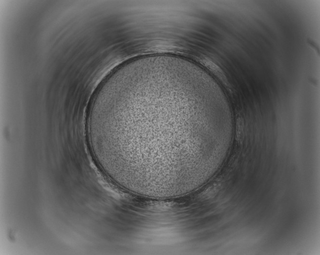 X0000099971039200806061625