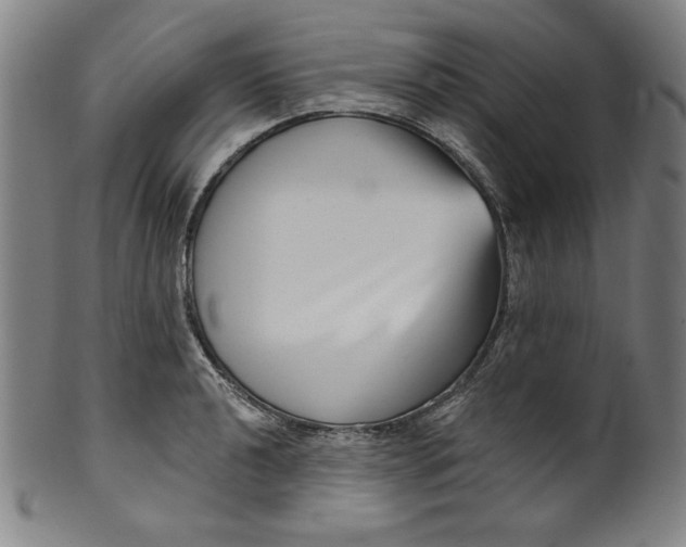 X0000099971040200806061625